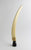 Etched Walrus Tusk on Walrus Head Base
