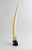 Etched Walrus Tusk on Walrus Head Base