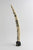 Etched Walrus Tusk on Walrus Head Base