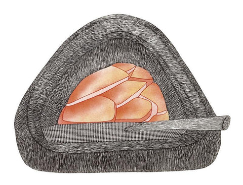 Stone Qulliq by Shuvinai Ashoona