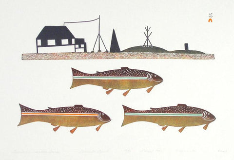 Lake Trout Near Our Camp by Kingmeata Etidlooie