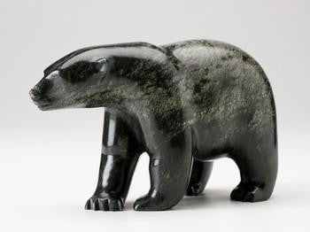 12. Bear