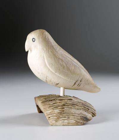 21. Ptarmigan, 1970-72