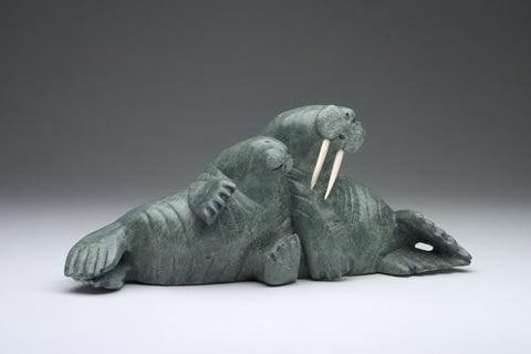 20. Walrus and Pup