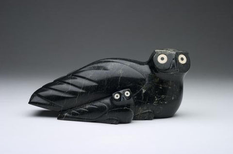 30. Owl and Young