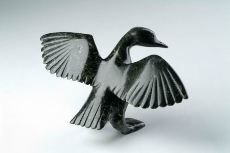 6. Goose Showing Plumage