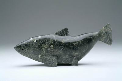 31. Arctic Char