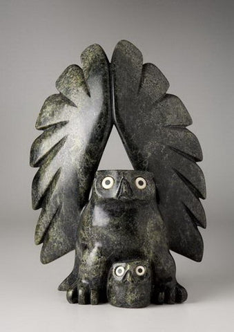 14. Alerted Owl