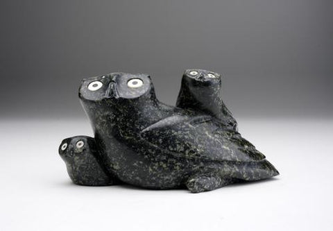 18. Owl with Two Chicks