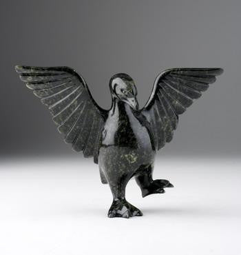 12. Alerted Bird