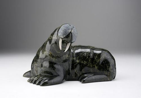 13.Walrus