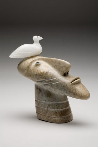 6. THOUGHTS OF A BIRD