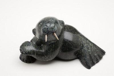 26. bear walrus