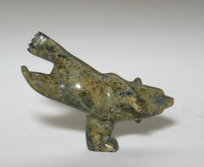11. Bear