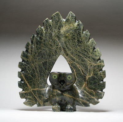 26. OWL