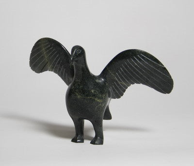 34. Bird, 1970