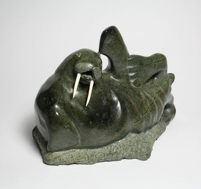 42. WALRUS, Circa 1980