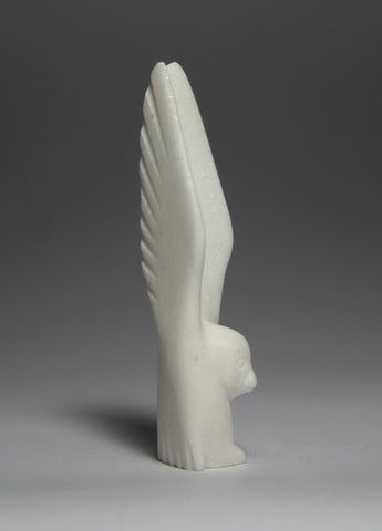 5. OWL