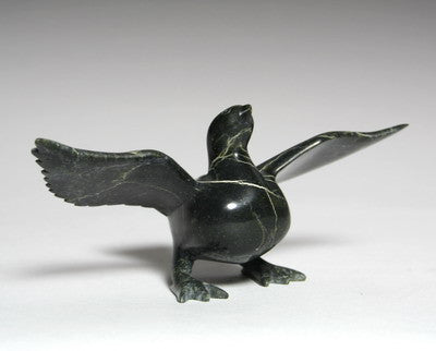 106. BIRD