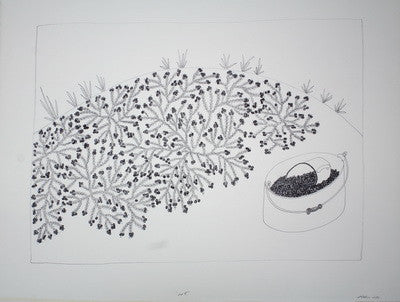 BERRIES, 2007/2008