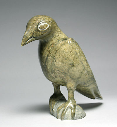19. Wise Bird