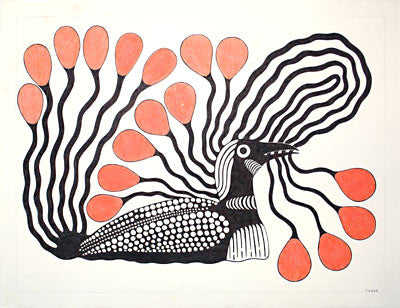 51. Bird With Orange Plumage
