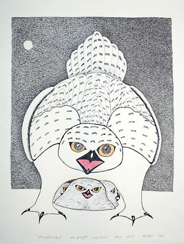 45. Owl Protects Chicks