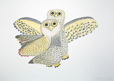 42. Two Owls