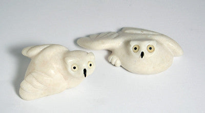 12. Two Owl Chicks