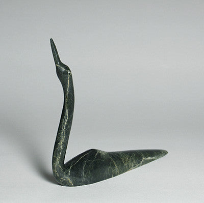 25. Trumpeting Loon