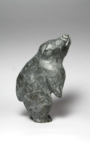 35. Bear (CIRCA 1997)