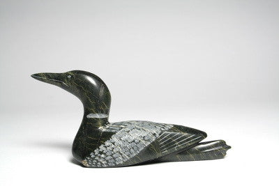 101. Swimming Loon