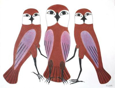 9. Three Alerted Owls