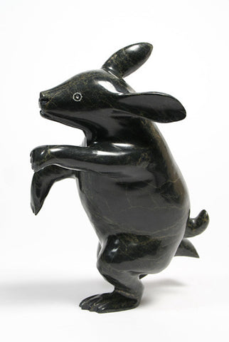 34. Rabbit