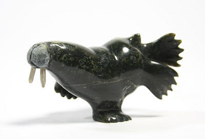 106. Walrus