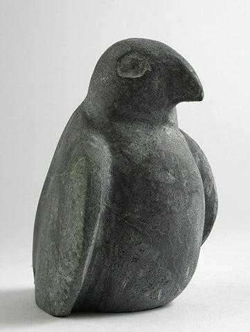 66. Bird