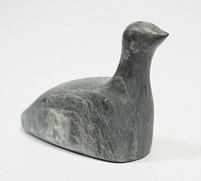 123. Bird