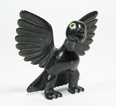 35. Bird