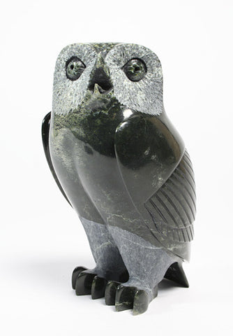 105. Owl