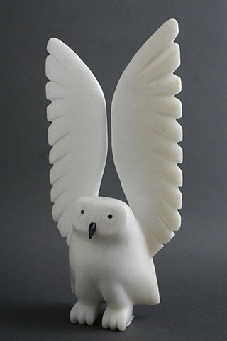 96. Owl