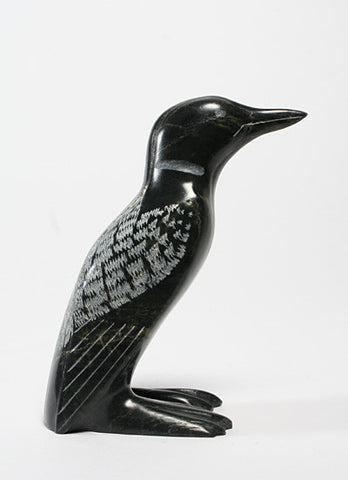104. Loon