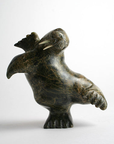 45. Walrus