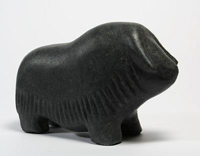 70. Musk Ox