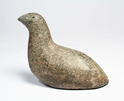31. Bird
