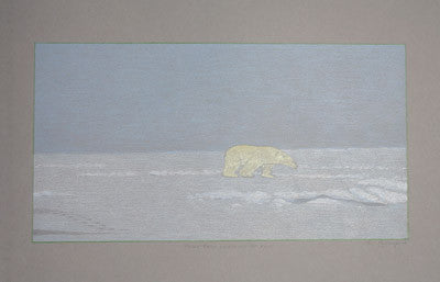 2. Polar Bear Searching For Food
