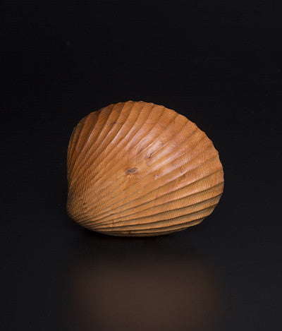 11. Cockle Shell Rattle