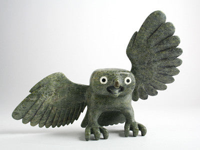 120. Owl