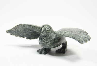 104. Bird