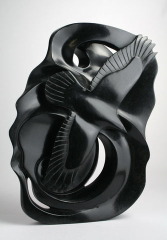 Raven Playing With The North Wind