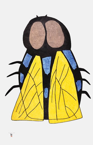 Qaumajaq (FLY) by Saimaiyu Akesuk